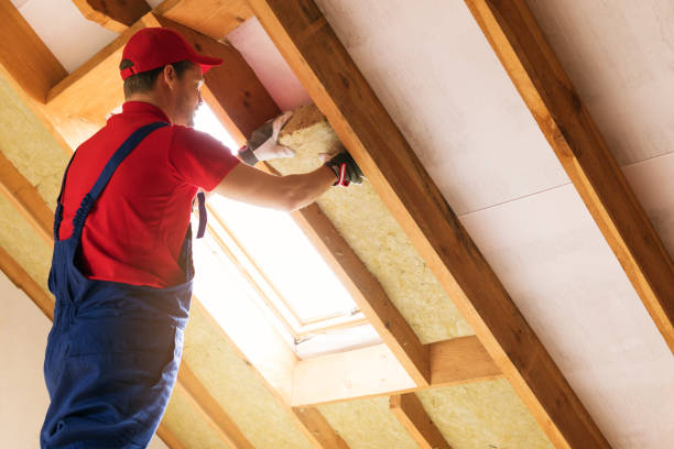 Best Garage Insulation  in West Rancho Dominguez, CA